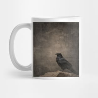 Raven On A Rock Mug